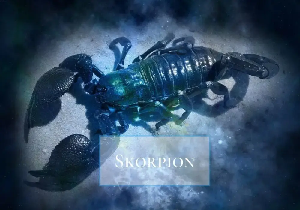 Horoskop Skorpion 2026 - Rok porządkowania życia? Sprawdź!