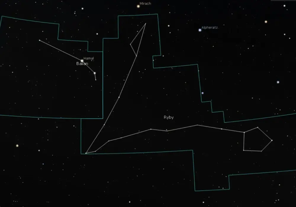 20 marca - Ryby czy Baran? Odkryj swój prawdziwy znak zodiaku!