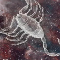 Skorpion, 16 listopada znak zodiaku, unosi się na tle kosmicznej mgławicy i gwiazd.