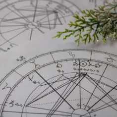 Zimowa gałązka na tle wykresów astrologicznych. Gwiazdy i planety układają się w tajemnicze wzory, tworząc mapę nieba.