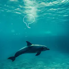 Delfin we śnie - poznaj jego znaczenie według sennika
