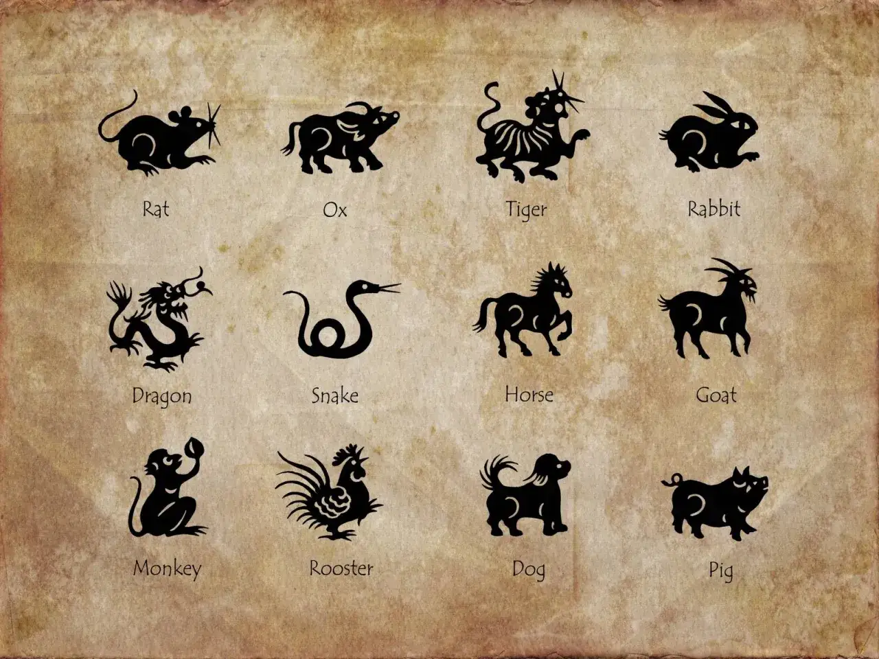 Chińskie znaki zodiaku: Szczur, Wół, Tygrys, Królik, Smok, Wąż, Koń, Koza, Małpa, Kogut, Pies, Świnia. Poznaj daty urodzenia dla każdego znaku.