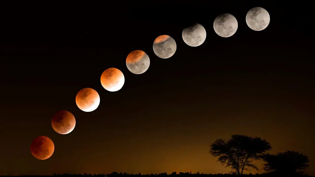 Sekwencja faz zaćmienia Księżyca, od pełnego, krwawego księżyca po częściowe zaciemnienie, na tle nocnego nieba i sylwetki drzew.