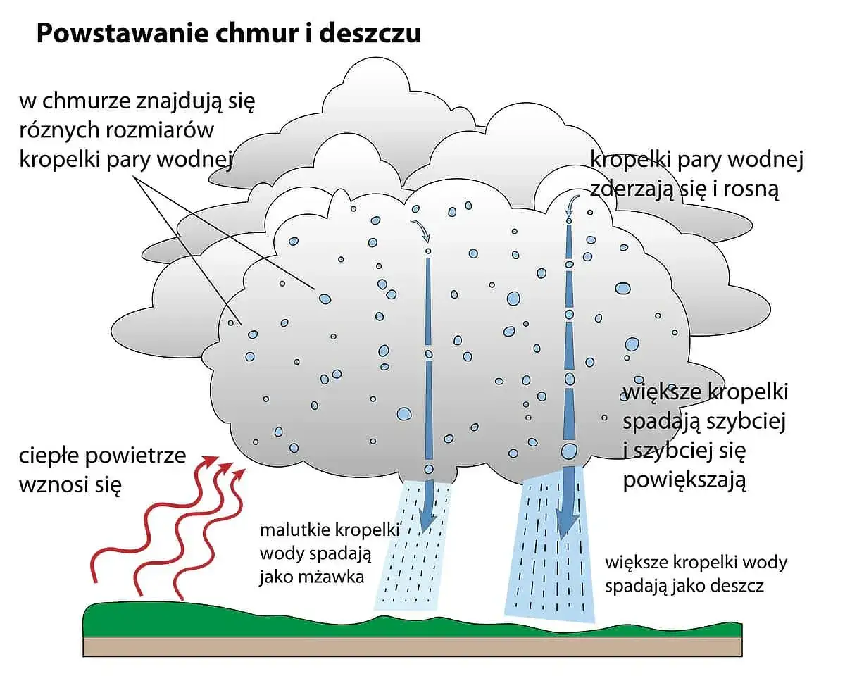 Zdjęcie Magiczny świat deszczu: jak powstaje dla ciekawskich przedszkolaków