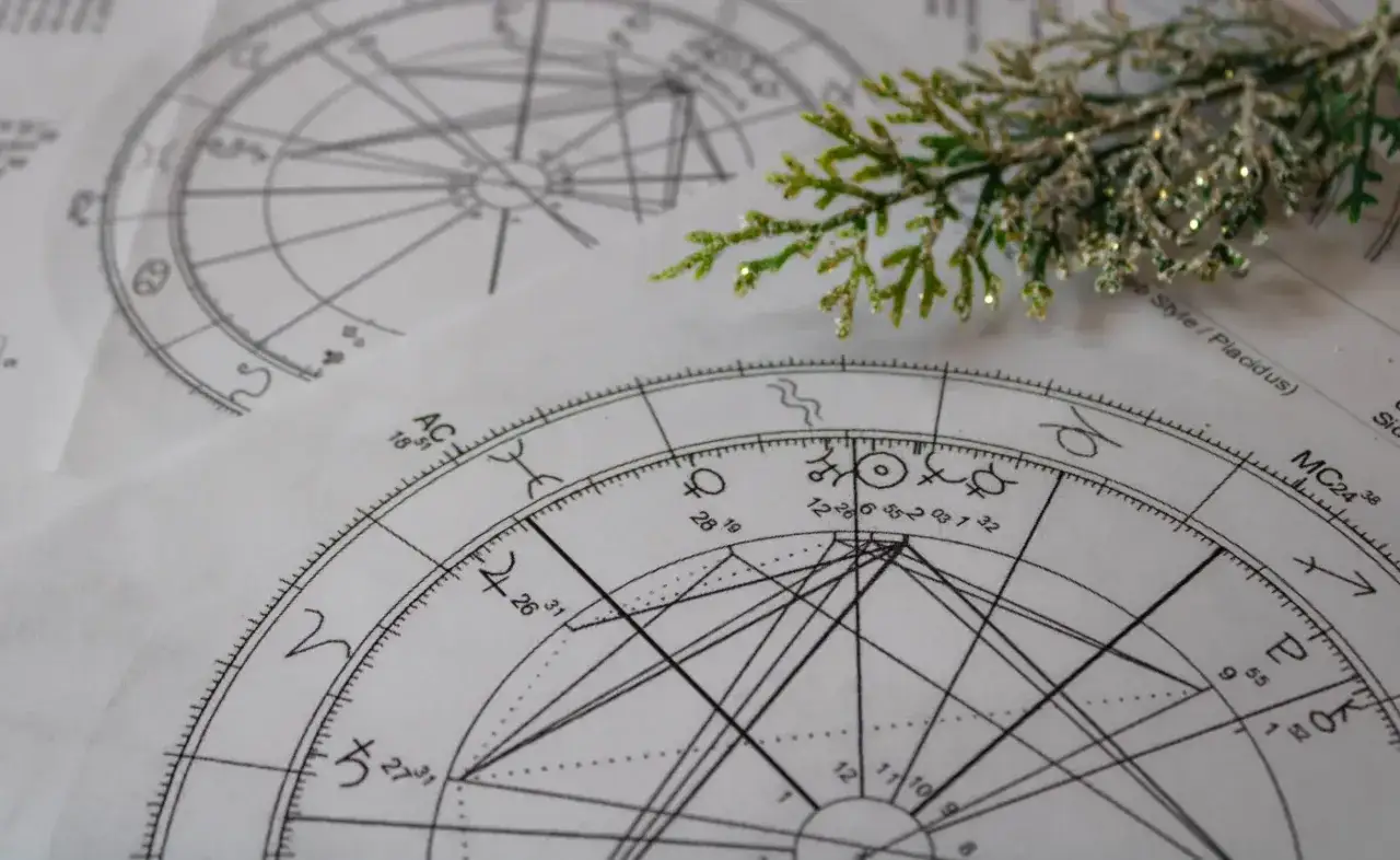 Astrologiczne wykresy, symbolizujące 21 grudnia znak zodiaku, ozdobione gałązką choinki.