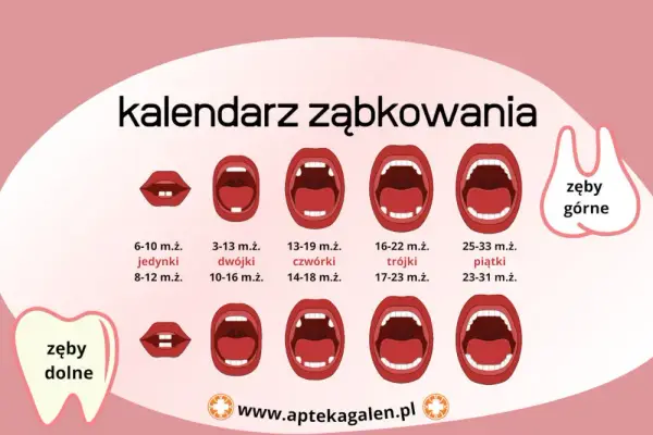 Ile trwa ząbkowanie u niemowląt? Kompletny proces krok po kroku